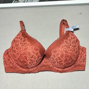 Aerie Day to Play Lace Plunge Push Up Bra Rusty Red Color (34D)